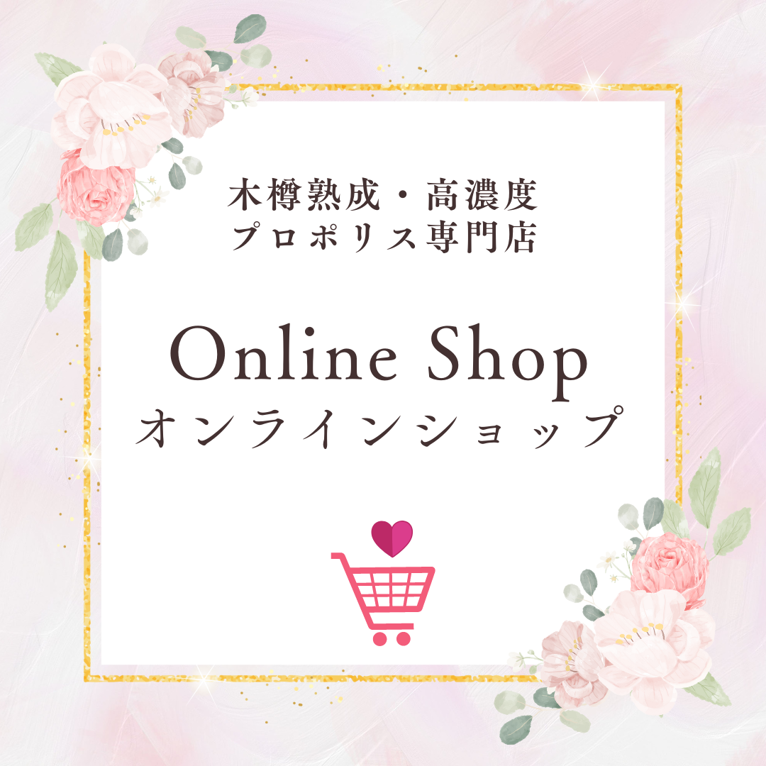 Online Shop (3)
